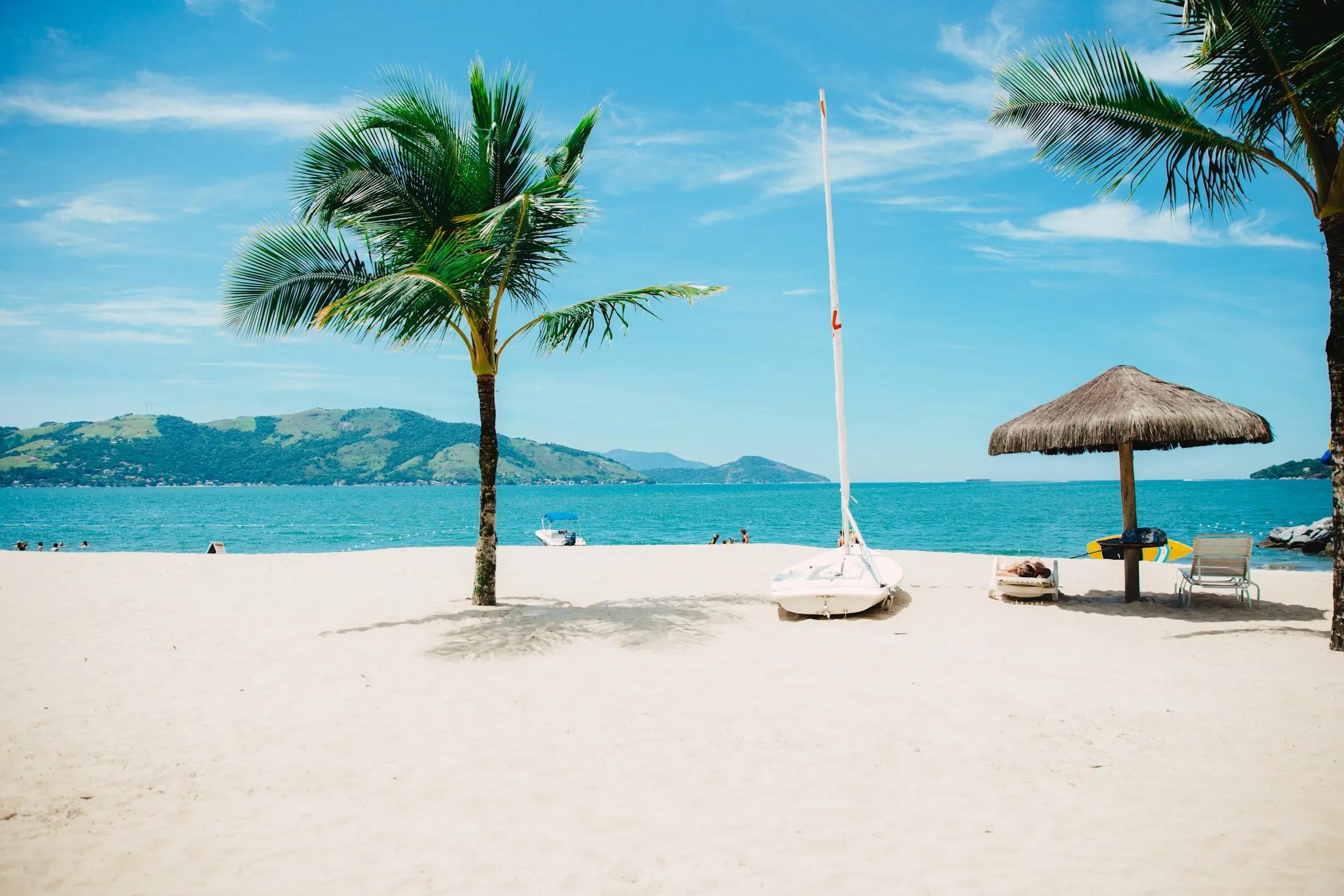 Palm trees over a tropical beach